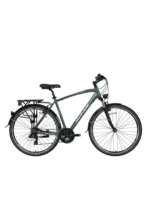 8100 Bisan Şehir Bisikletleri 28''